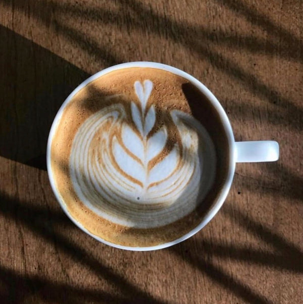 Borealis Espresso Mighty Missouri Coffee Co. 